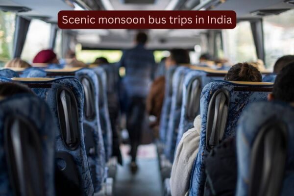 Scenic monsoon bus trips in India: Beautiful routes that should be on every traveller's bucket list |