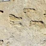 23,000-year-old footprints in White Sands are rewriting the story of the first humans in the Americas | World News