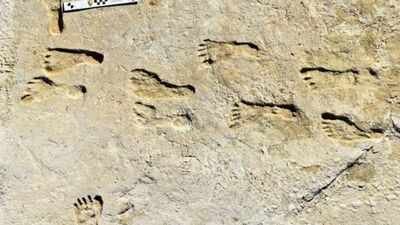 23,000-year-old footprints in White Sands are rewriting the story of the first humans in the Americas | World News