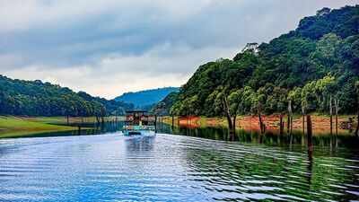5 lakes with underwater forests: From Clear Lake to Caddo Lake