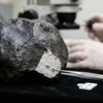 A 4.5-billion-year-old meteorite crashed into a New Jersey home, and scientists found clues about the origins of life |