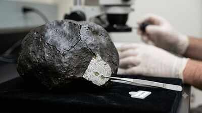 A 4.5-billion-year-old meteorite crashed into a New Jersey home, and scientists found clues about the origins of life |