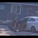 Colombian man with Social Security Number, work authorization killed by ICE agents in Maine: 'He was bleeding profusely from the head'