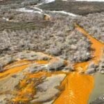 Alaska's crystal-clear rivers are turning vivid orange: Metal pollution is creating 'rusting' waterways, threatening wildlife, habitats and drinking water |