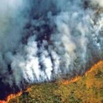 Amazon fires peaked during the 2024 drought. A year later, burned area hit its lowest level since records began in 1985