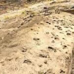 Ancient footprints found in Kenya reveal how early human relatives may have travelled and lived together 1.43 million years ago