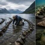 Archaeologists uncover 7,000-year-old fish traps that rewrite the story of life before farming in Scandinavia | World News