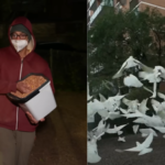 Australia's mysterious 'Birdman' has spent two years feeding birds in the middle of the night, leaving the neighbourhood plagued by a daily 'poo explosion' | World News