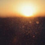 Best proverb of the day: 'Even the sun negotiates with dust to make a shadow', where even brilliance must bargain with resistance