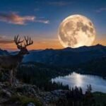 Buck Moon 2026: Date, peak time, meaning, and the best way to watch July's full moon |