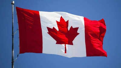 'Marriage of convenience' by Indian students in Canada mentioned in internal email: Even advertised on dating apps