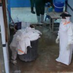 Congo's Ebola outbreak kills nearly 1,000 as cases climb to 2,473
