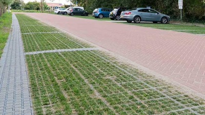 Dutch cities are replacing solid concrete surfaces with grass-filled paving blocks that absorb rainwater and help keep urban areas cooler