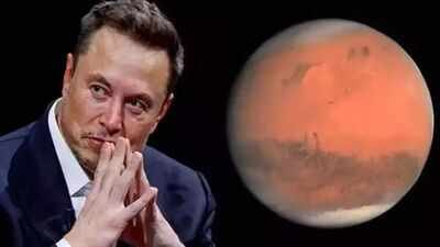 Elon Musk says a future on Mars could help humanity survive pandemics, AI and global disasters |