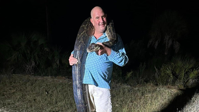 Florida dad grabbed a 202-pound Burmese python, then it started dragging him towards a canal before his entire family took down the giant snake