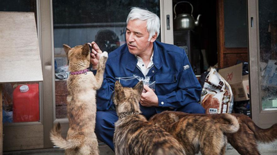 Fukushima nuclear disaster forced more than 150,000 people to flee and turned towns into ghost towns, but one man went back to save the animals: Meet Naoto Matsumura |