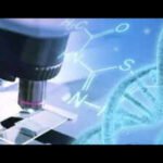 Girl died after gene-editing treatment in China: Report