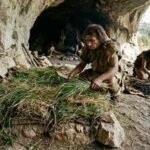 How ancient humans made their beds: 200,000-year-old grass reveals a prehistoric cleaning routine | World News