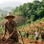 In 1996, Indonesia's 'crazy' tree planter who was mocked for his mission planted 11,000 trees and turned barren hills into a green paradise | World News