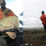 In 2015, two men bought live sea turtles from a Papua New Guinea food market and set them free instead of letting them become food | World News