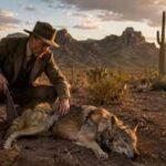 In the 1920s, a Yale-trained forester shot a wolf in the Arizona desert: What he saw next changed conservation forever |