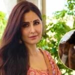 Fact check: Is Katrina Kaif set to make her comeback with Prabhas' 'Spirit'? | Hindi Movie News