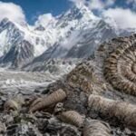 Marine fossils found near Mount Everest summit tell the remarkable story of a vanished ocean