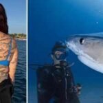 Meet Emily Morrison: The marine biologist who sets a world record for ‘106 shark tattoos to raise awareness for shark conservation |