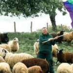 Meet Michael Stucke: German farmer who saves 'gay' sheep from slaughter and uses proceeds to help people flee homophobic persecution | World News