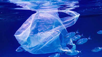 Microplastics have reached one of Earth’s most isolated ecosystems: Indian Ocean animals carried up to 14.7 times more particles than Pacific specimens