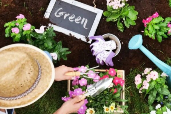 7 flowers, fruits, and vegetables to plant in the UK