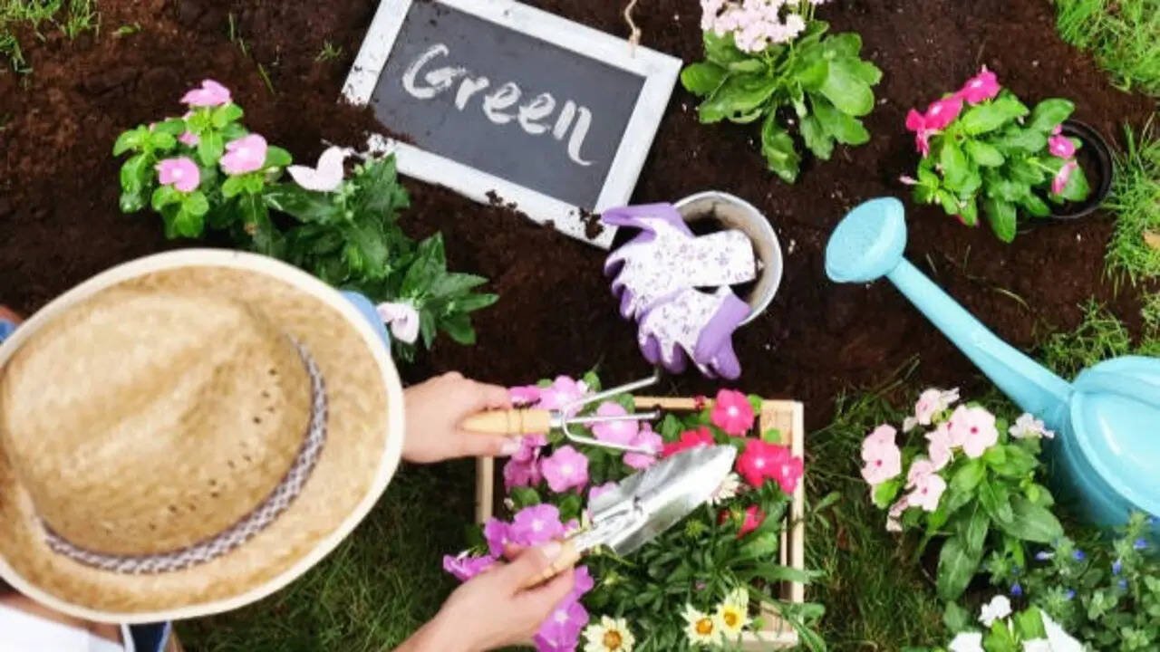 7 flowers, fruits, and vegetables to plant in the UK