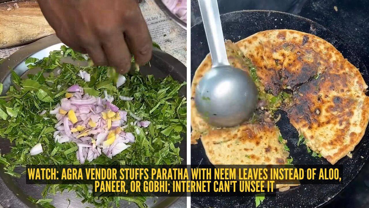Agra vendor stuffs paratha with neem leaves instead of aloo, paneer, or gobhi; internet can't unsee it