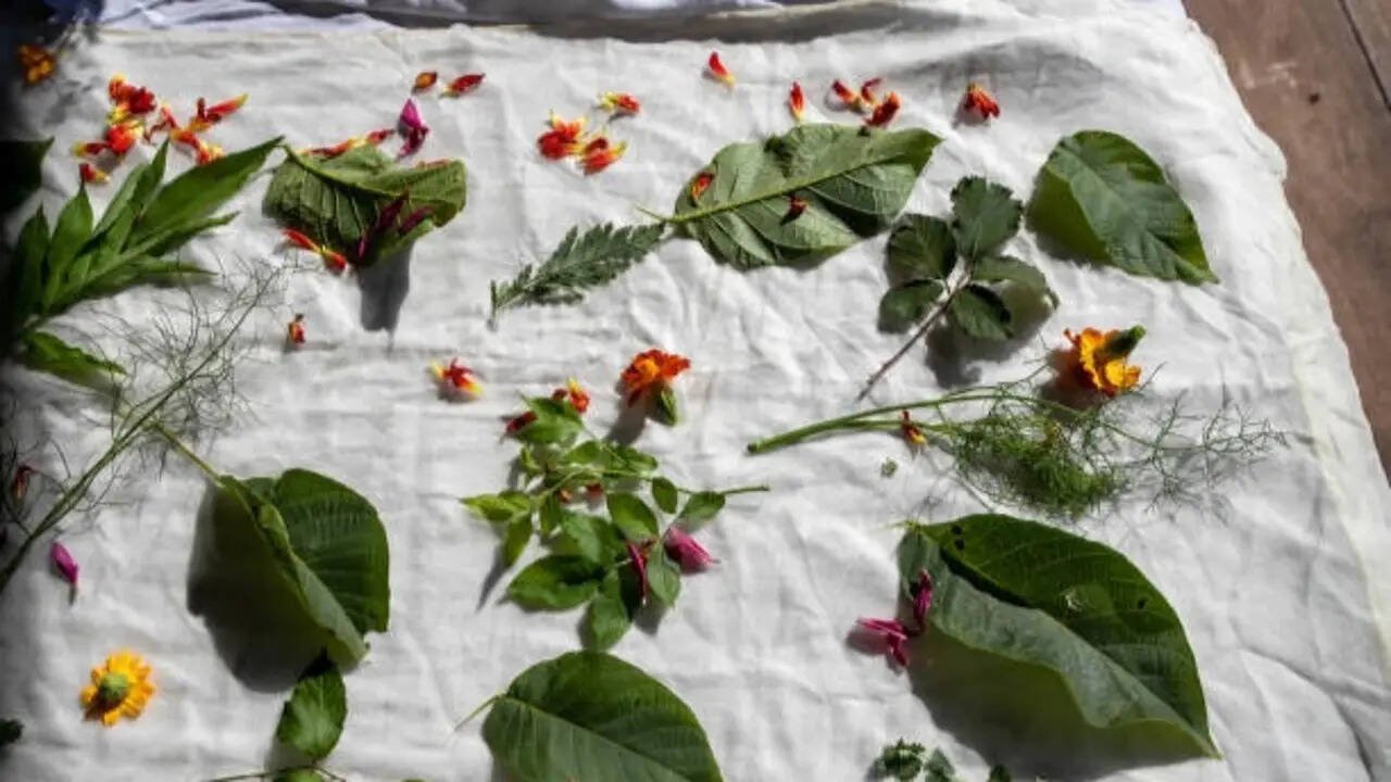 7 Plants with leaves and flowers that naturally stain and dye