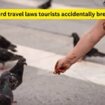 7 weird travel laws tourists accidentally break around the world (and the real incidents that prove why you should know them)