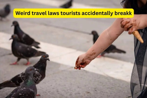 7 weird travel laws tourists accidentally break around the world (and the real incidents that prove why you should know them)