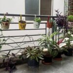 5 DIY ways to turn it into a vertical garden
