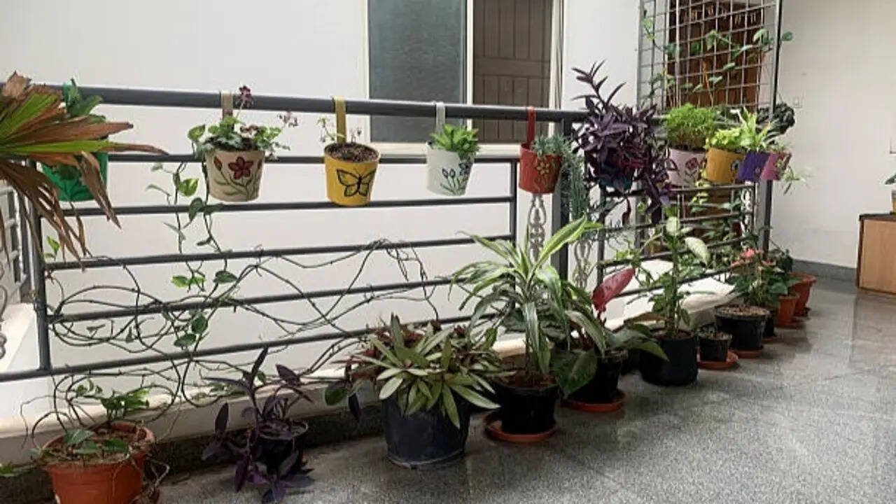 5 DIY ways to turn it into a vertical garden