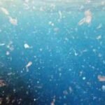Tiny plastics in drinking water may help harmful bacteria form stronger biofilms that resist disinfectants, raising new concerns for water treatment systems
