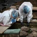 Ireland has recovered the remains of 99 infants from the former Tuam mother and baby home; DNA analysis may help restore some of their identities