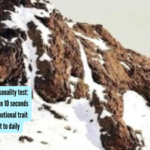 Optical illusion personality test: What you see first in 10 seconds reveals a hidden emotional trait about how you react to daily situations |