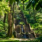 Portugal's ancient Bussaco National Forest has become the Iberian Peninsula's first therapeutic forest, and the reason goes beyond its trees