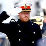 'Disappointing Withdrawal': Palace Revokes Prince Harry's Accommodation as Legal Drama Unfolds |