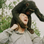 Quote of the day by Jane Goodall: Why "Even that great scientist Albert Einstein sustained a mystical outlook on life" reminds us that wonder and humility go hand in hand |
