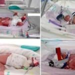 Australian woman gives birth to rare identical quadruplet girls after naturally conceived pregnancy |