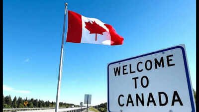 Job market joke, healthcare broken, weather depressing: Redditor says moving to Canada was the worst mistake, 'don't fall for the dream they sell you online'
