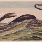 A fossil remained trapped inside a Japanese museum rock for 30 years. Scientists now think it may belong to an unknown sea reptile