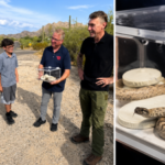 Retired police officer discovers an exceptionally rare white rattlesnake in Arizona, “once-in-a-lifetime” find | World News