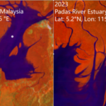 Satellite images reveal global mangrove recovery: Nasa study shows forests springing back, but rising seas could still drown them |