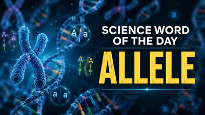 Science word of the day: Allele, know its meaning, who introduced the term, and its practical applications |
